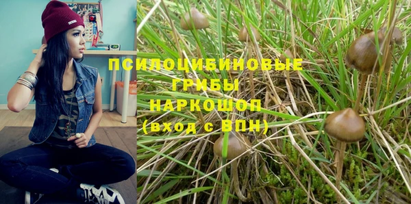 альфа пвп Володарск