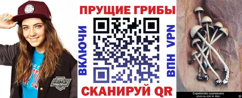 Псилоцибиновые грибы мухоморы  Нижнекамск 